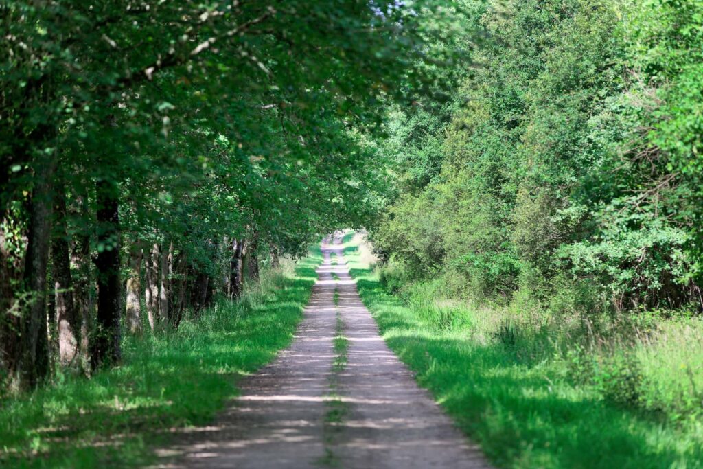 Sologne Loire Nature Découverte