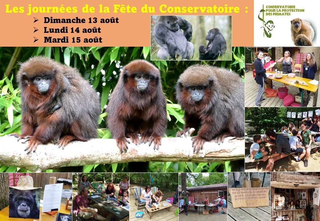 La vallée des singes Poitou