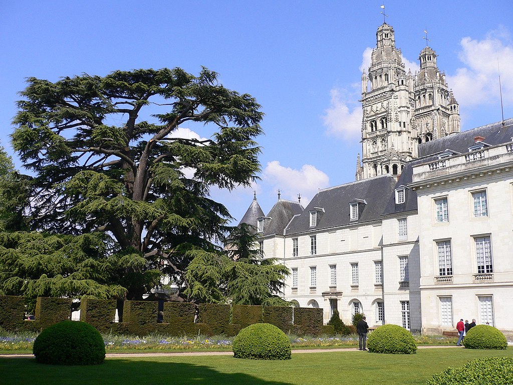 Musée des Beaux-Arts de Tours