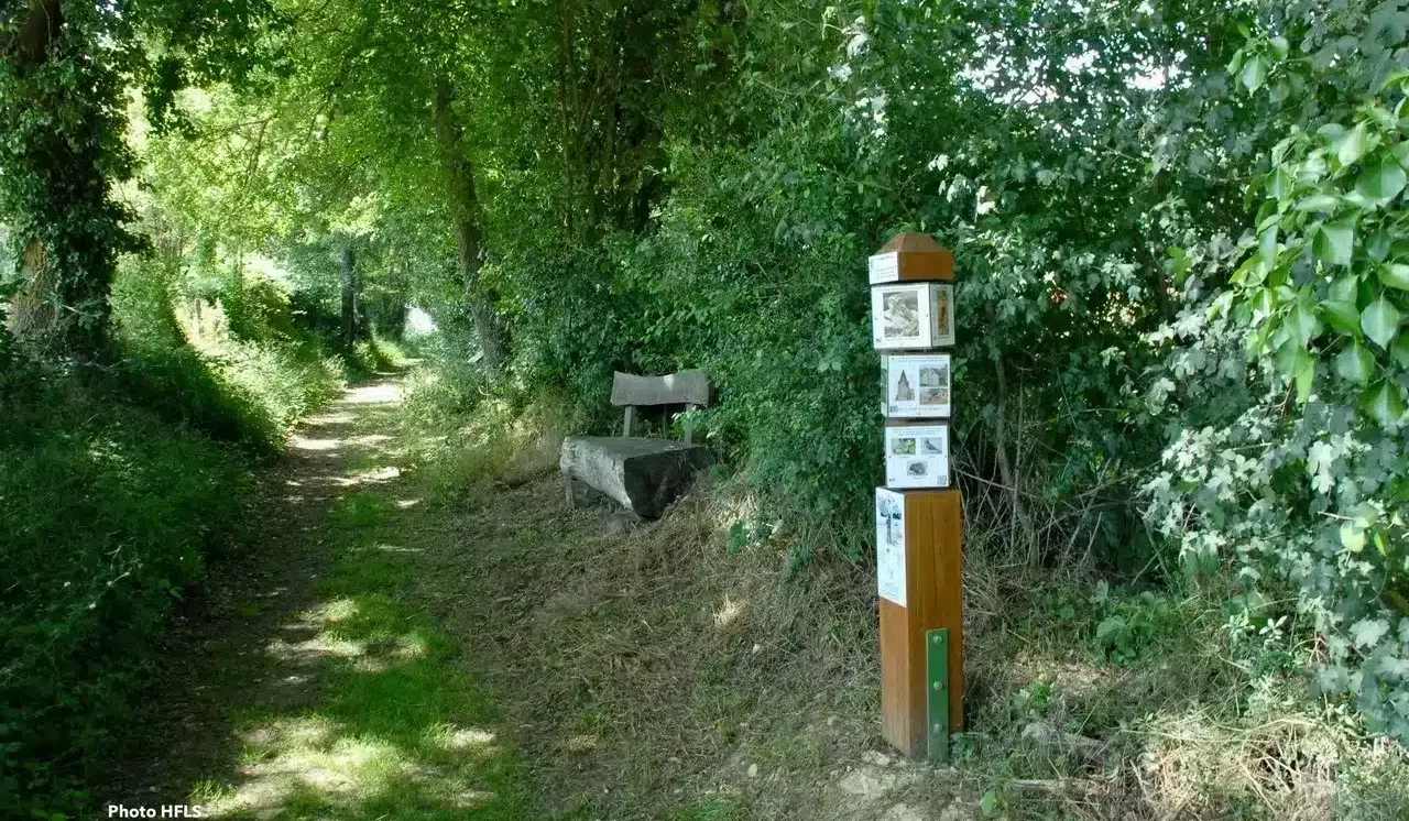 sentier ludique Herbes folles et légumes sages