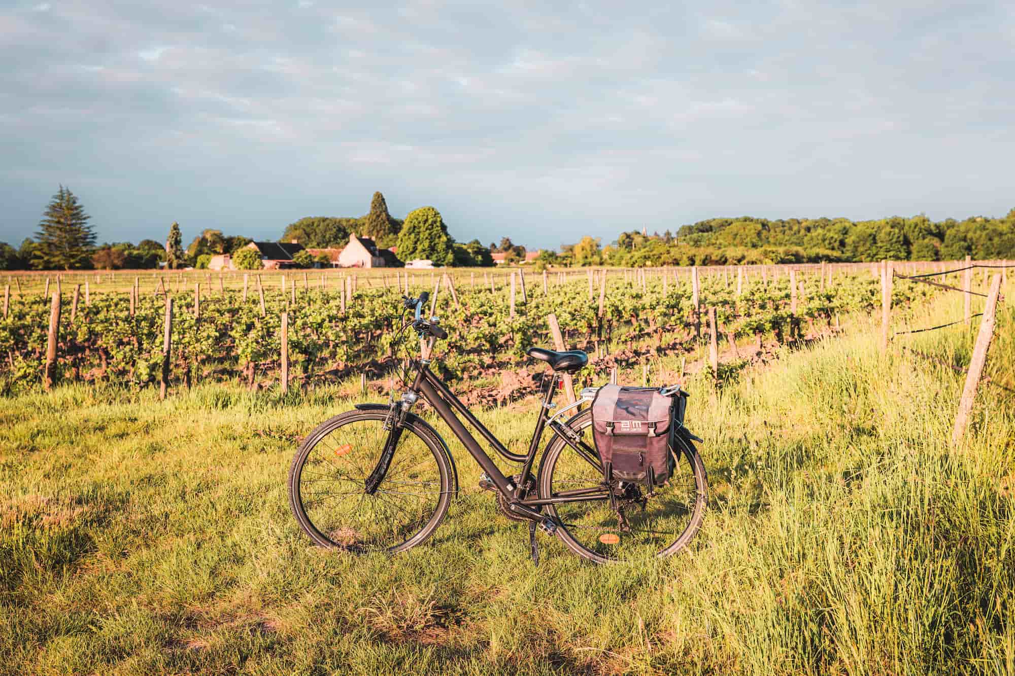 échappées à vélo fête des vendanges cheverny © Lezbroz Teddy Verneuil
