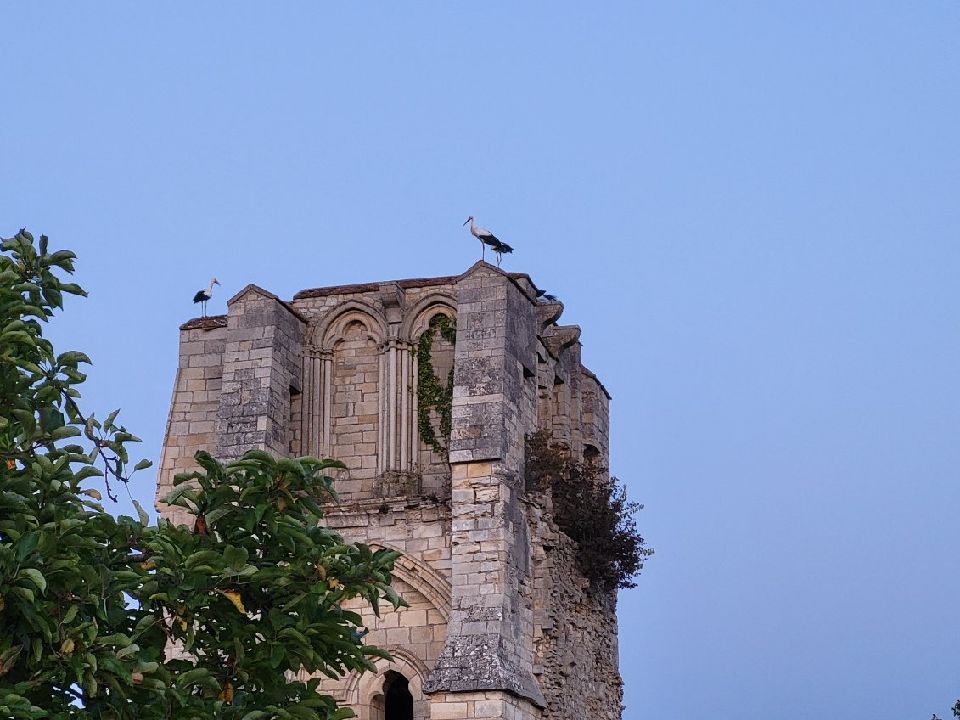 église donzy le pré