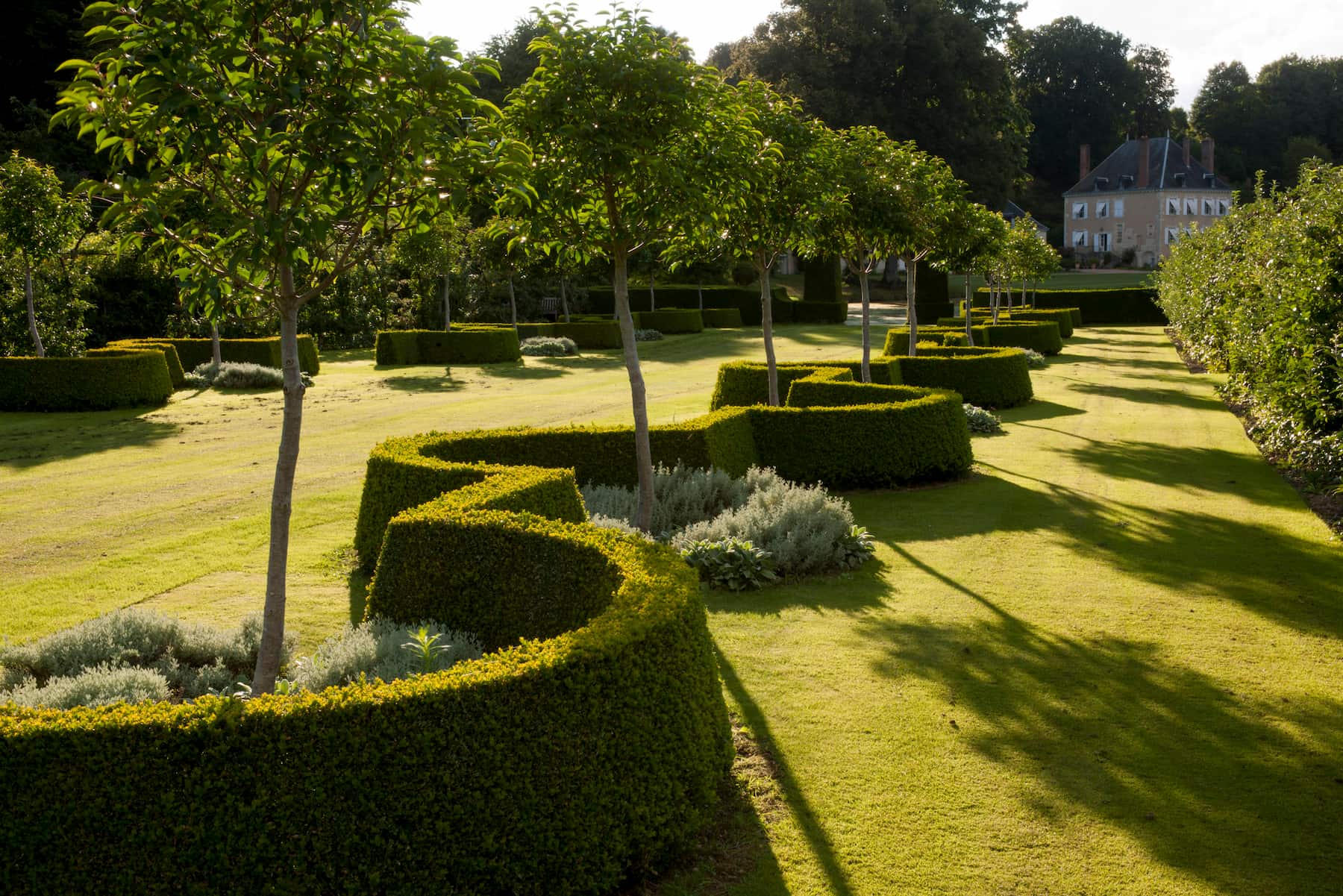 Le rêve de Rosamée : le jardin de Plessis Sasnières