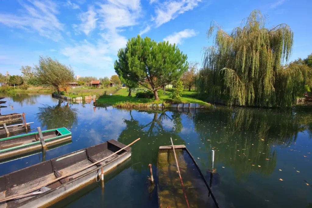 vue sur des barques à bourges