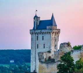 musée d'art et d'histoire - chinon