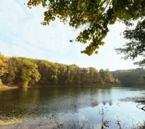 Restaurants en bord de Loire pour tous les budgets