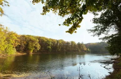 Restaurants en bord de Loire pour tous les budgets