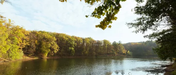 Restaurants en bord de Loire pour tous les budgets