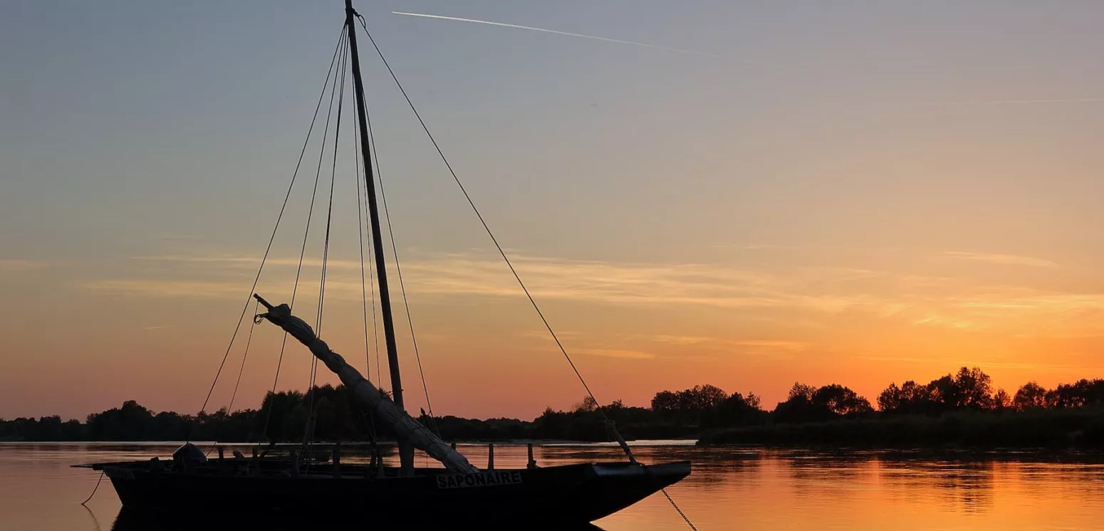 Top 5 des sorties nocturnes en Maine-et-Loire !