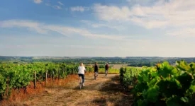 circuit-oenotouristique-pays-de-la-loire-escapade