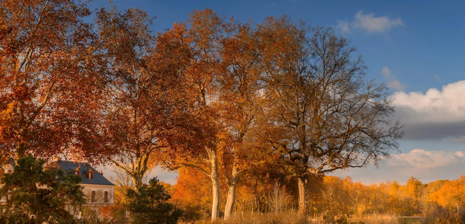 Que faire quand il pleut dans le Cher