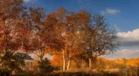 Que faire quand il pleut dans le Cher