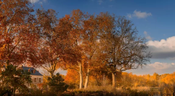 Que faire quand il pleut dans le Cher