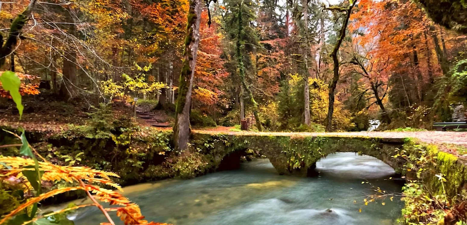 Que faire quand il pleut dans la Nièvre