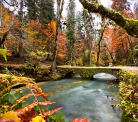 Que faire quand il pleut dans la Nièvre