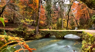 Que faire quand il pleut dans la Nièvre