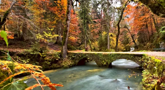 Que faire quand il pleut dans la Nièvre