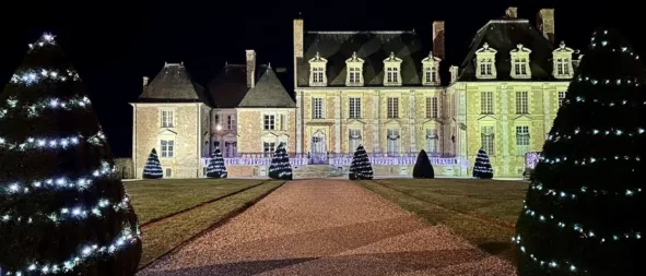 Noël au château de la Ferté St Aubin