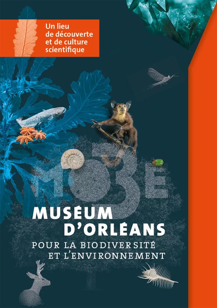 mobe-museum-orleans