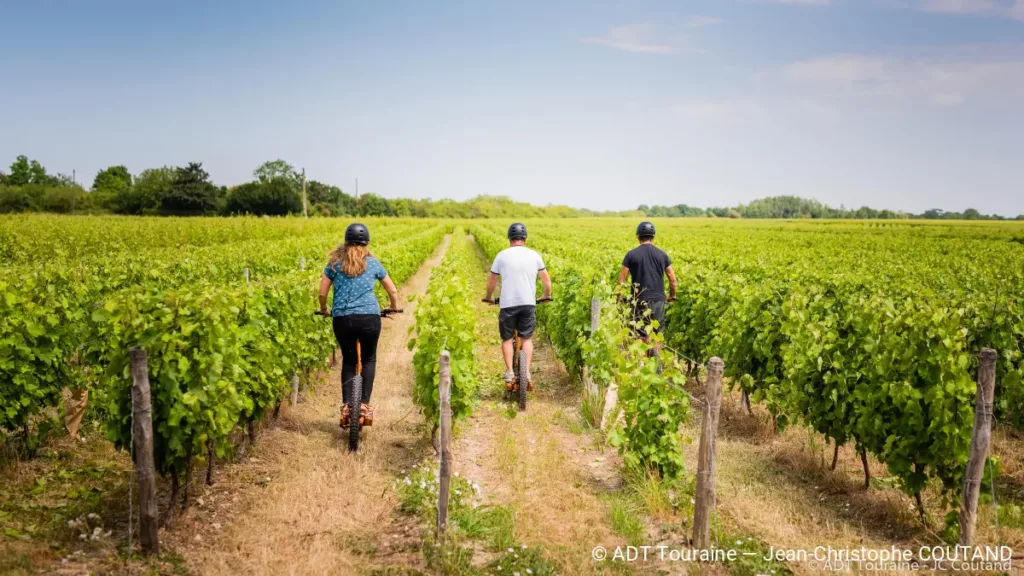Balade en trottinette électrique dans les vignes en Indre-et-Loire  