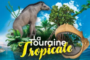 expo touraine tropicale