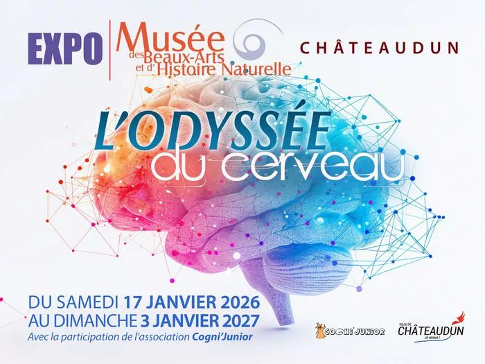 Poster for L'odyssée du cerveau, a brain-themed exhibition at Expo Musée des Beaux-Arts et d’Histoire Naturelle, Châteaudun, Jan 17, 2026–Jan 3, 2027.