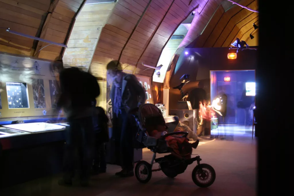 nuit des musées museum d'histoire naturelle blois