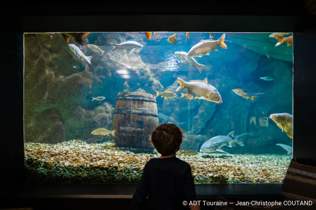 Grand Aquarium de Touraine