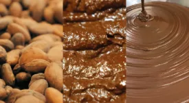 Le chocolat dans tous ses états : visite guidée à la chocolaterie Max Vauché de Bracieux Crédit photo : Chocolaterie Max Vauché