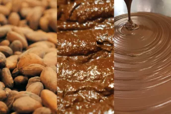 Le chocolat dans tous ses états : visite guidée à la chocolaterie Max Vauché de Bracieux Crédit photo : Chocolaterie Max Vauché