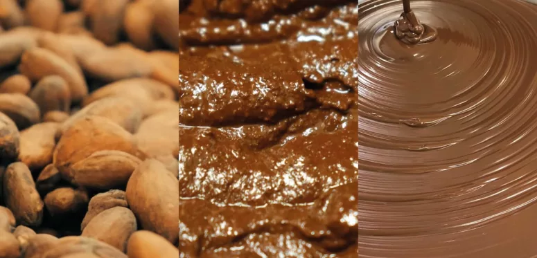 Le chocolat dans tous ses états : visite guidée à la chocolaterie Max Vauché de Bracieux Crédit photo : Chocolaterie Max Vauché