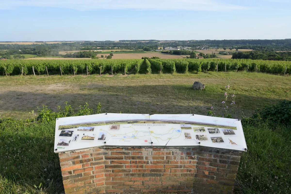 Panorama des Jasnières 
Crédit photo : Office de tourisme val de loir 