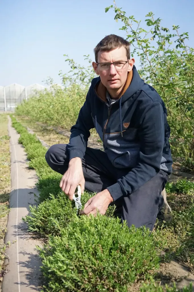 bonjour bonsoir plantes aromatiques antoine