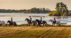 Brenne à cheval