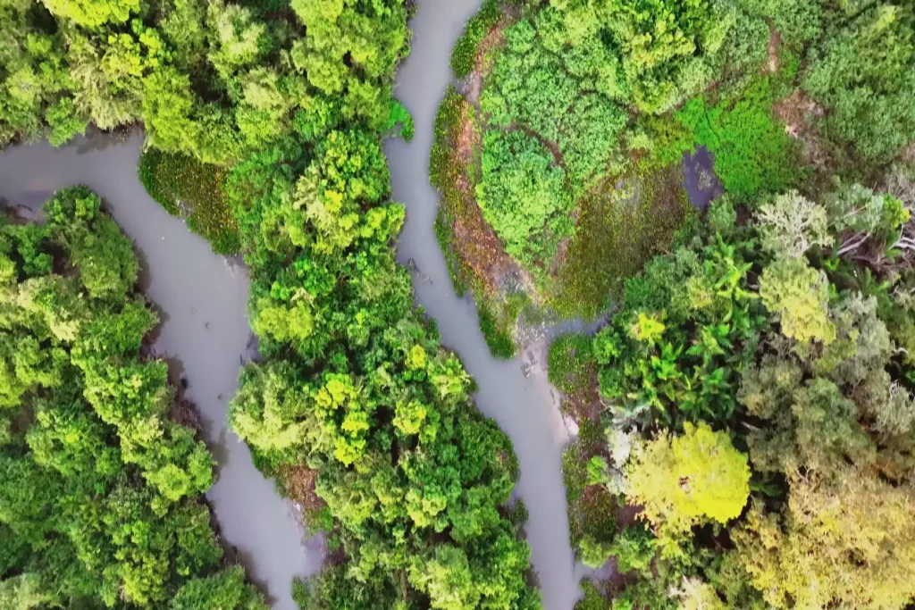 Image de la Réserve du Pantanal au Brésil