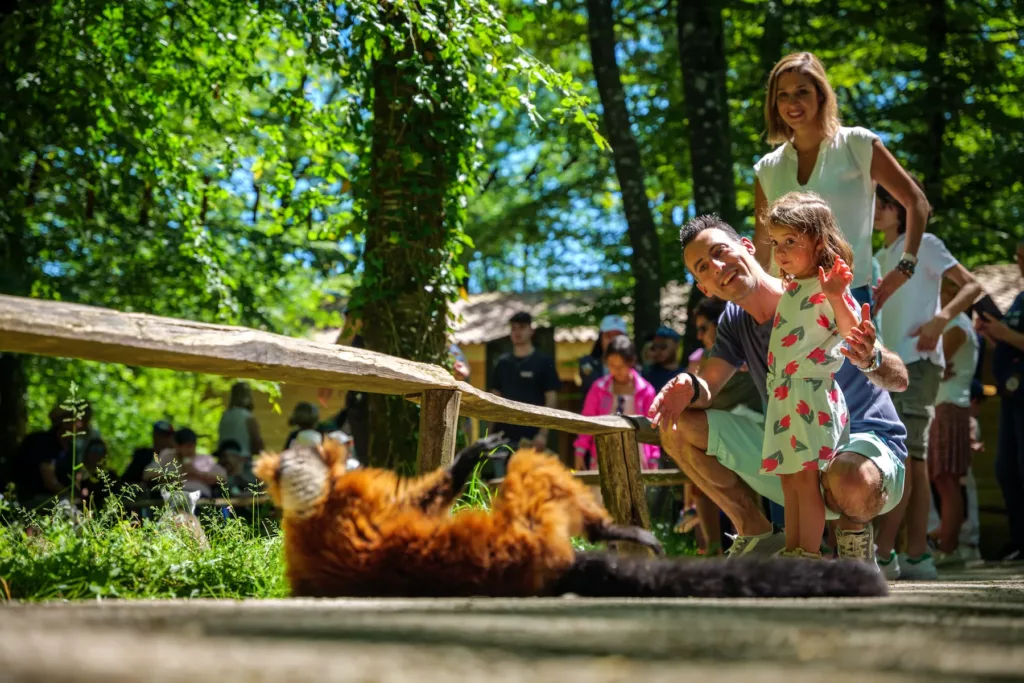 La vallee des singes visite en famille
