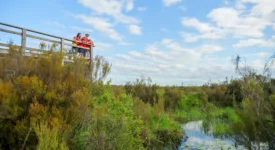 Visite en famille de la reserve naturelle du Pinail