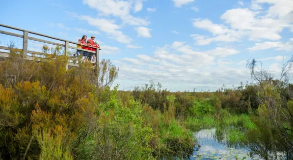 Visite en famille de la reserve naturelle du Pinail
