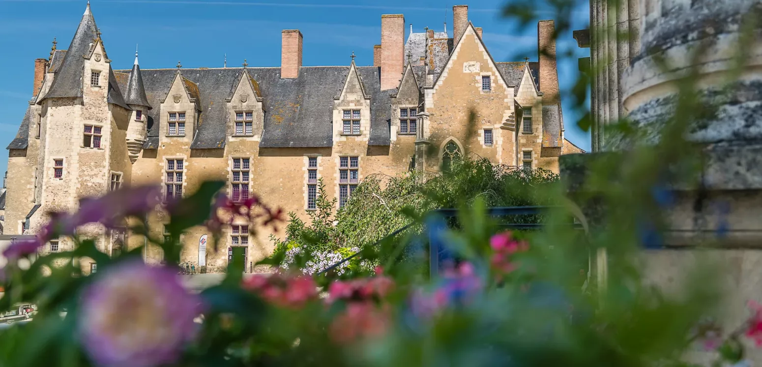 Photo Chateau de Bauge en été