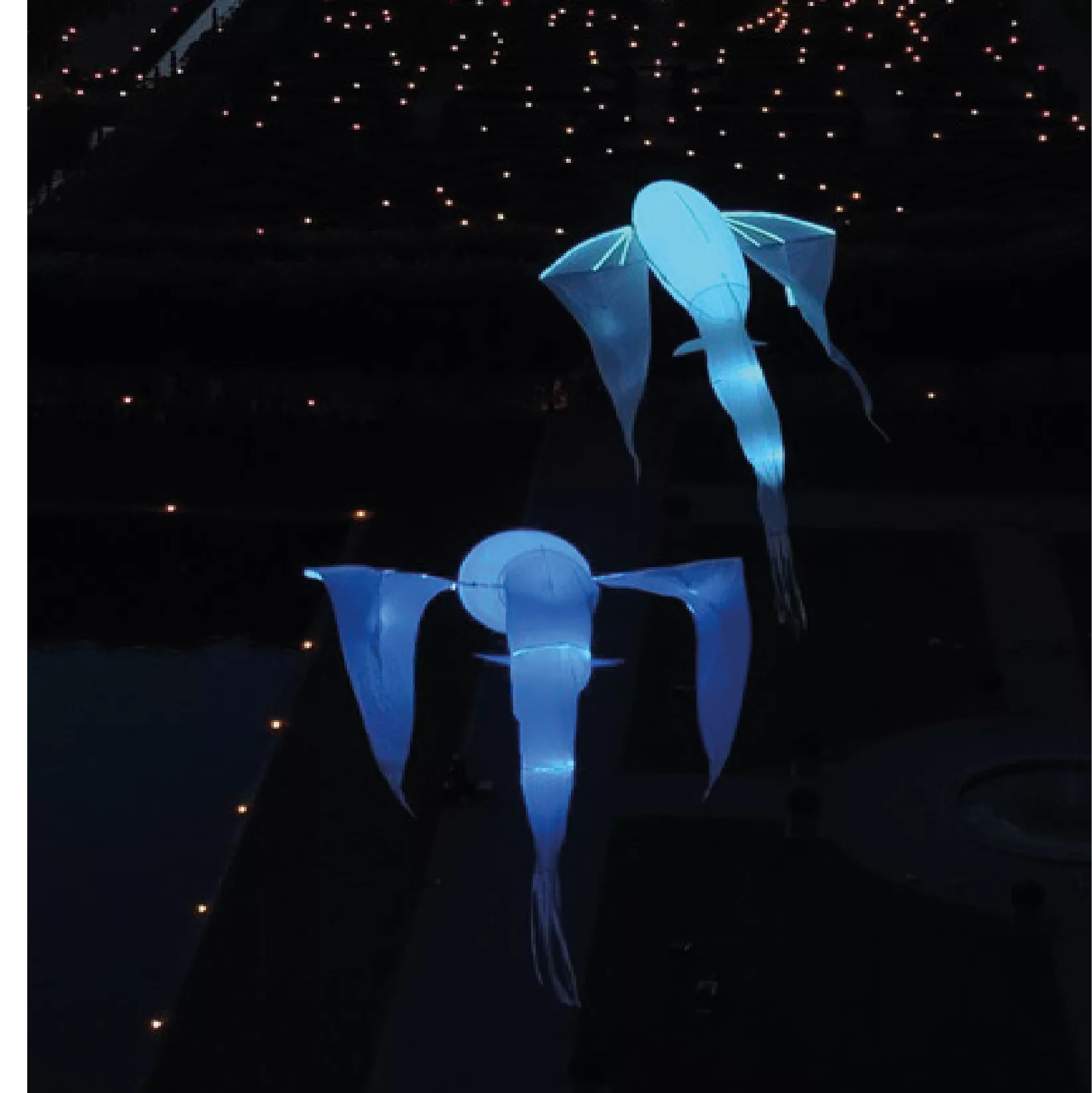  spectacle lumière jardin 