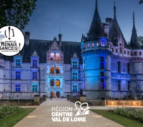 visuel pour les nouvelles renaissances de juillet 2025 avec un chateau éclairé en bleu