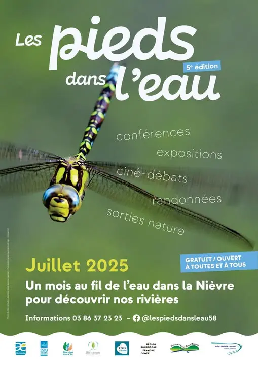 affiche les pieds dans l'eau avec une libellule qui vole au-dessus de l'eau
