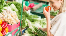 Marchés dans le Cher - CVL