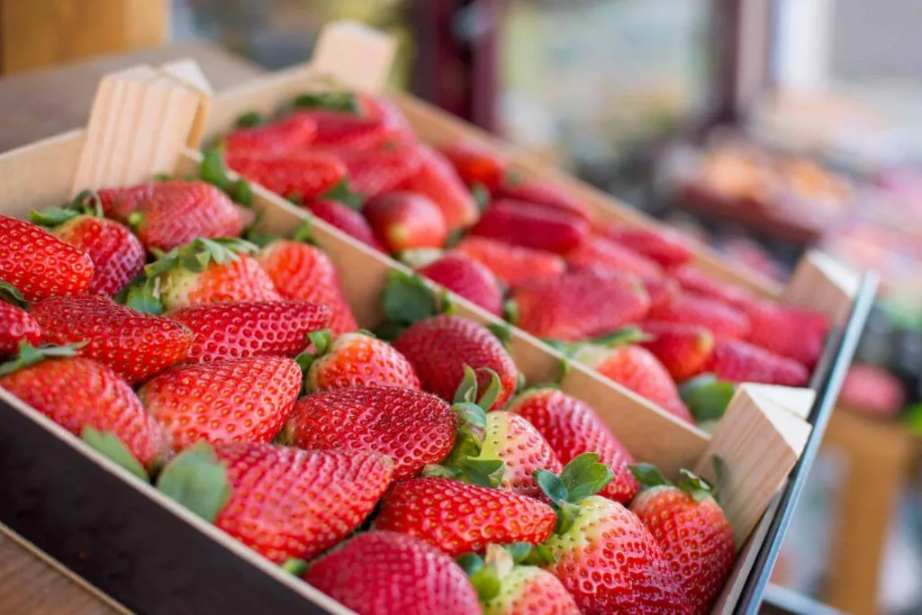 Les marchés en Eure-et-Loir en 2026 !