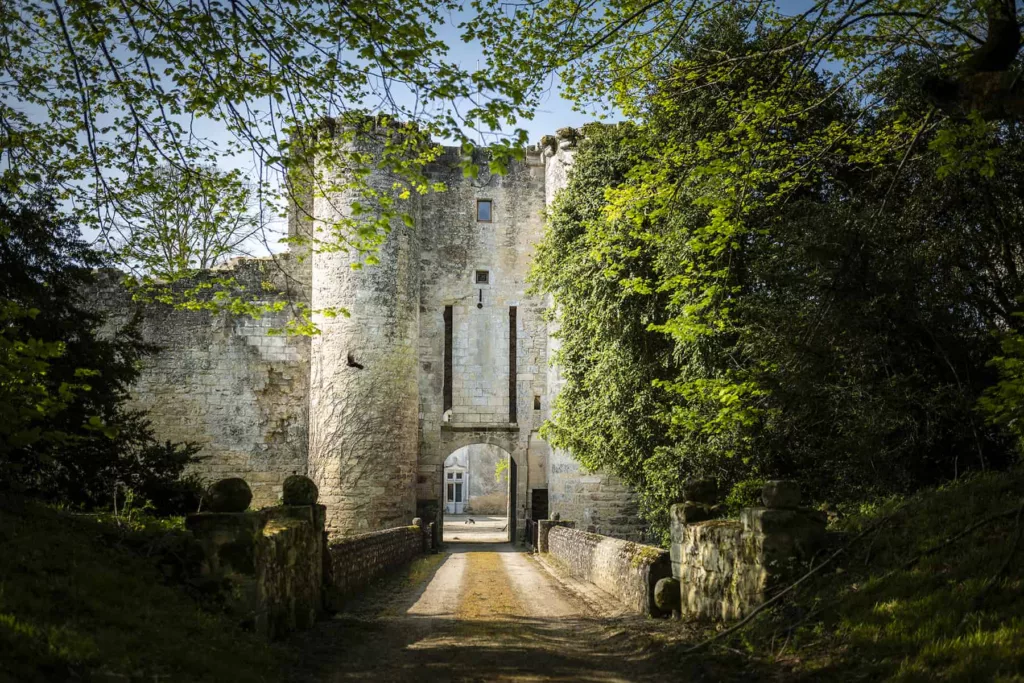 Chateau_de_Montreuil-Bonnin