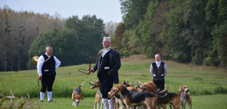 Chiens de chasse à courre