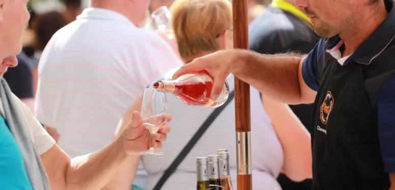 Fête des Vendanges Cheverny