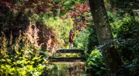 Terres du Val de Loire en automne - Arboretum Ilex