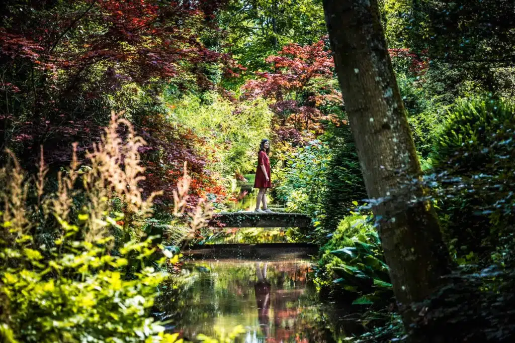 Terres du Val de Loire en automne - Arboretum Ilex