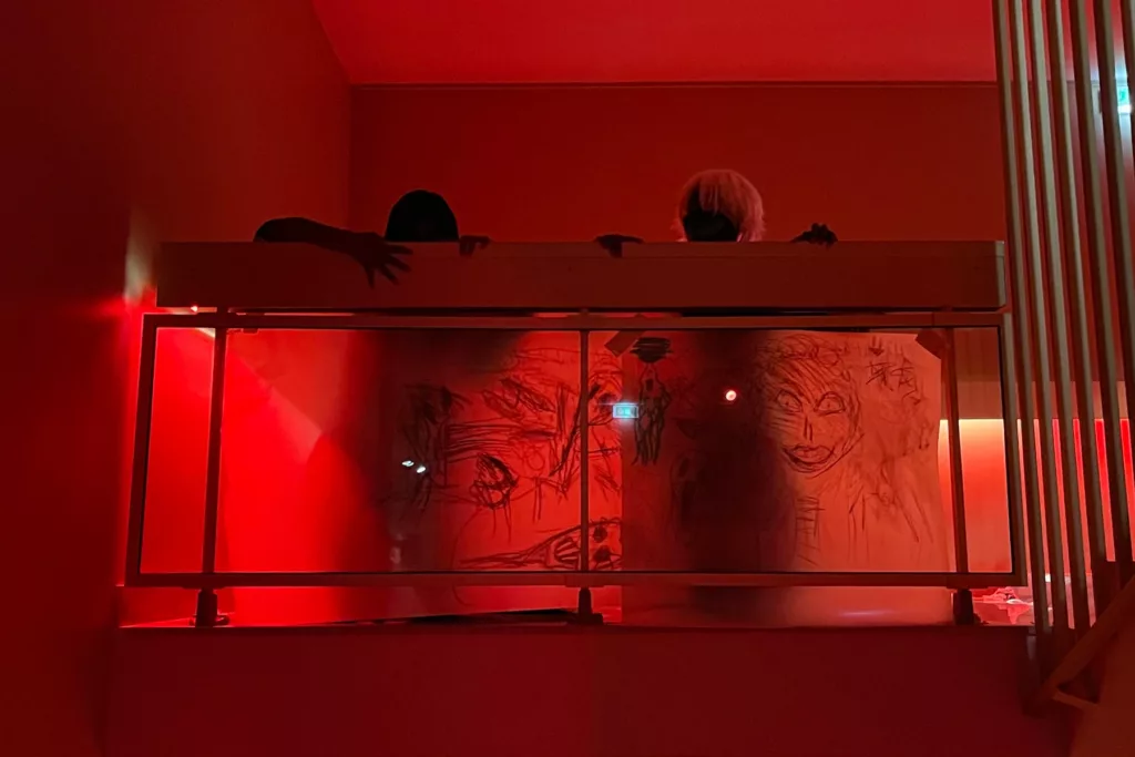 Nuit des Ombres Musée des Beaux Arts Orléans